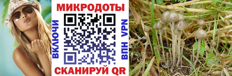 наркошоп  Печора  кракен   Псилоцибиновые грибы Magic Shrooms 